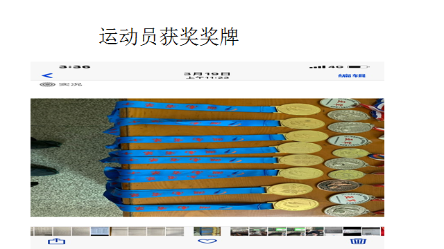 2019年8月，在湖南省中学生田径锦标赛上，我校运动员代表衡阳市夺得三块单项金牌，一块接力金牌，三块银牌。