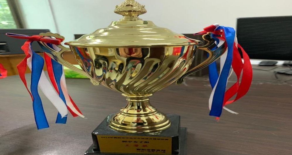 2019年12月，在衡阳市中学生排球比赛中获得初中男子三等奖。